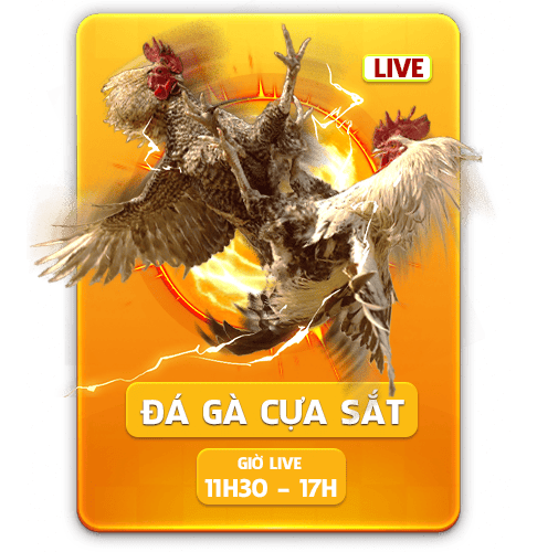 dagacuasat1 1